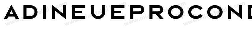 adineueprocond bold字体转换